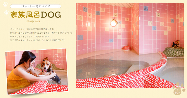 きぬ川国際ホテル　温泉　犬