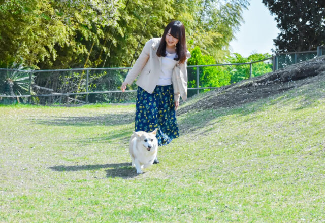 ぐらんぱる公園　ドッグラン　公式サイト